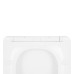 Сиденье для унитаза Qtap (Crow Ultra) с микролифтом Slim QT99SC6108W